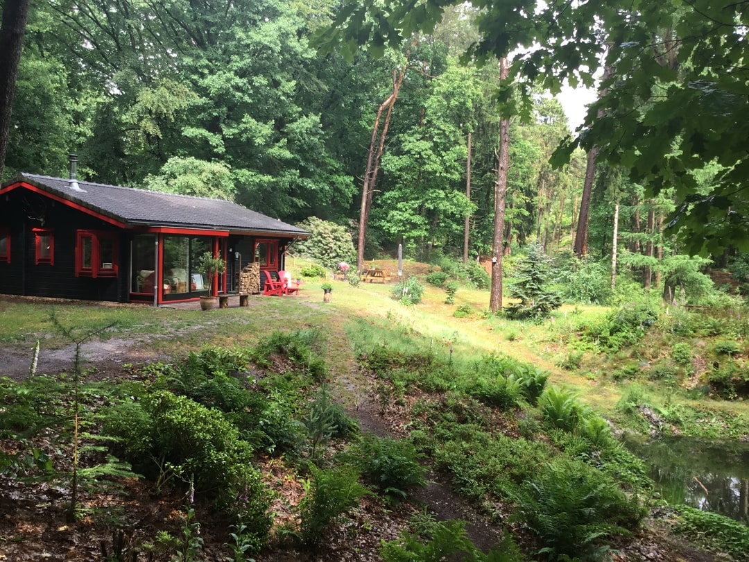 natuurhuisje in het bos in Empe Veluwe